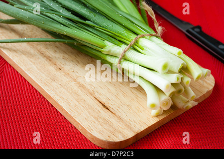 green onions tied with a rope, food