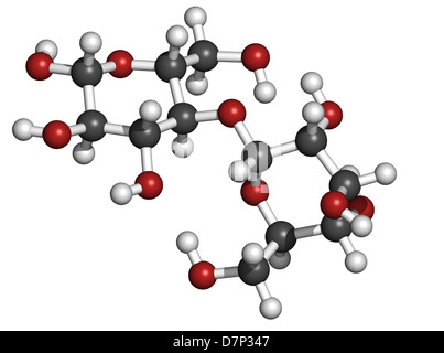 Maltose (maltobiose, malt sugar), molecular model. Atoms are represented as spheres with conventional color coding Stock Photo