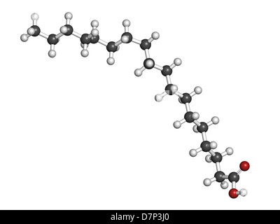 Stearic acid saturated fatty acid, molecular model. Atoms are represented as spheres with conventional color coding Stock Photo