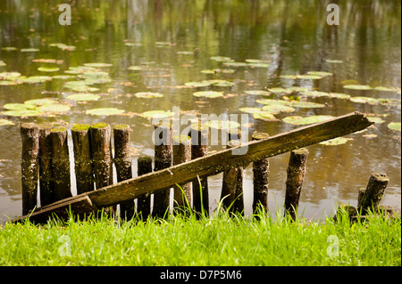 broken wooden fence on pond shore in Warsaw Stock Photo