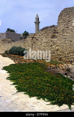 ancient wall caesarea national park israel remains Stock Photo