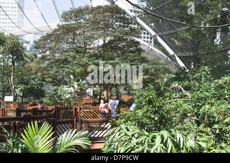 dh Hong Kong Park CENTRAL HONG KONG Tourists inside Edward Youde Aviary Stock Photo