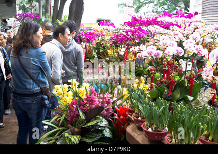 dh Flower Market MONG KOK HONG KONG Chinese people getting New Year flowers and decoration market stall display mongkok china Stock Photo