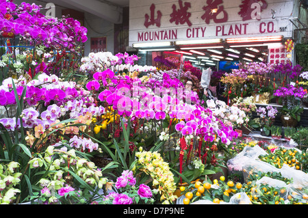 dh Flower Market MONG KOK HONG KONG Chinese New Year flowers decoration market stall display mongkok floral shop exterior china Stock Photo