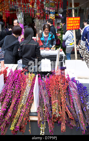 dh Flower Market MONG KOK HONG KONG Chinese people New Year dried flowers and decoration stall display asia street markets kowloon china Stock Photo