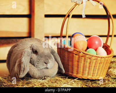 gray lop-earred rabbit and Easter basket on hayloft Stock Photo