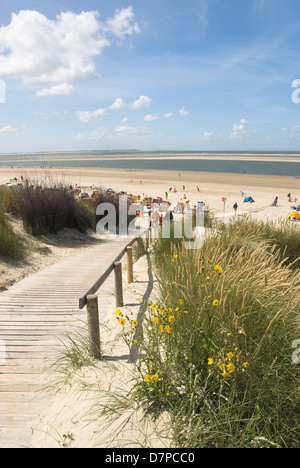 Dune road to the beach of the East Frisian island Langeoog, Duenenweg zum Badestrand der ostfriesischen Insel Langeoog Stock Photo