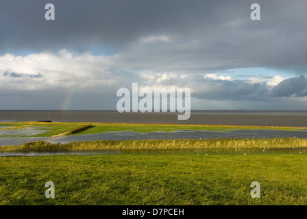 Salzwiesen Fedderwardersiel, Nordseekueste, Views over the salt marshes of the fishing port town on the North Sea coast Stock Photo