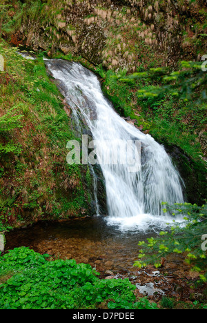 All Saints Waterfalls in the Black Forest in Oppenau, Allerheiligen-Wasserfall im Schwarzwald bei Oppenau Stock Photo