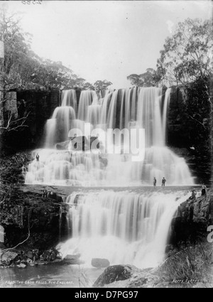 The Ebor Falls, New England Stock Photo