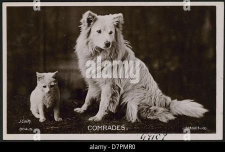 Postcards collection of Australian and overseas scenes, 1925 Stock Photo