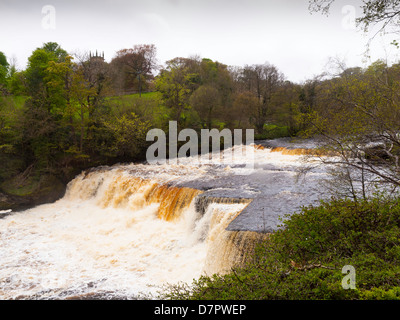The Aysgarth Middle falls on the river Ure in the Yorkshire Dales National Park Stock Photo