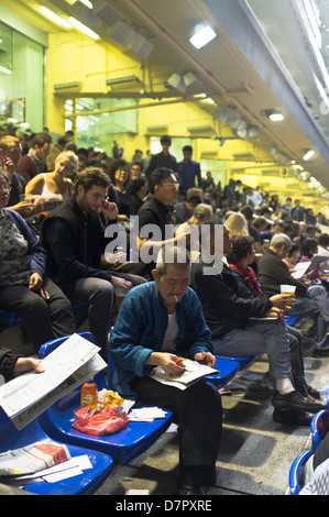 dh Happy Valley racecourse CAUSEWAY BAY HONG KONG Chinese man betting on horses night race meeting Stock Photo