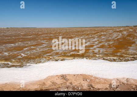 Lake contaminated by chemical waste, Krasnoperekopsk, Crimea, Ukraine, Eastern Europe  Stock Photo