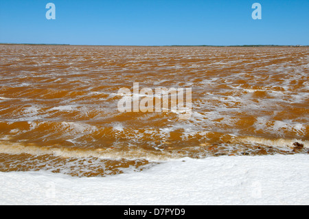 Lake contaminated by chemical waste, Krasnoperekopsk, Crimea, Ukraine ...