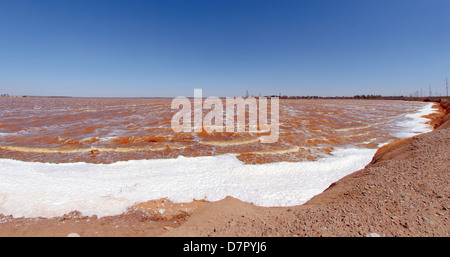 Lake contaminated by chemical waste, Krasnoperekopsk, Crimea, Ukraine, Eastern Europe  Stock Photo