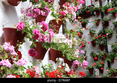 Wall decorated with flowerpots in Cordoba, Andalusia Spain Stock Photo