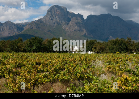 Boschendal Estate and vineyard below the Groot Drakenstein, Franschhoek, South Africa Stock Photo