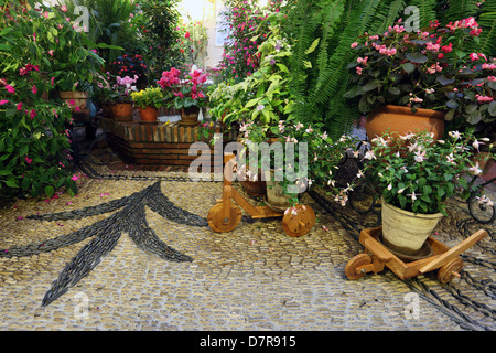 Typical andalusian patio in Cordoba, Andalusia Spain Stock Photo