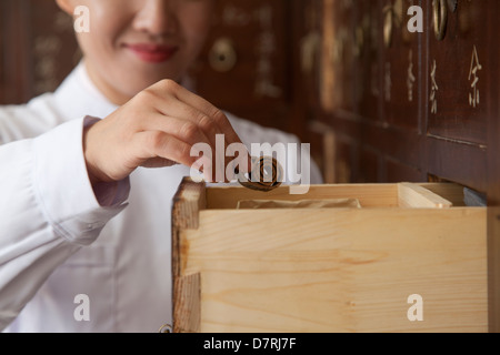 Doctor Taking Herb Used for Traditional Chinese Medicine Out of a Drawer Stock Photo