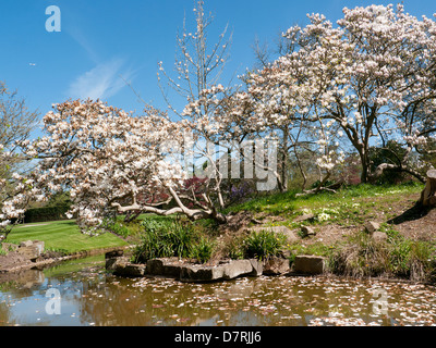 The water garden at Cliveden House, a National Trust Property in Bucks, UK Stock Photo