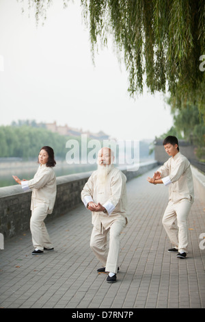 Chinese Practicing Tai Ji Stock Photo