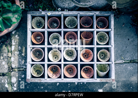 A box containing old used small terracotta plant pots used for planting seeds. Stock Photo