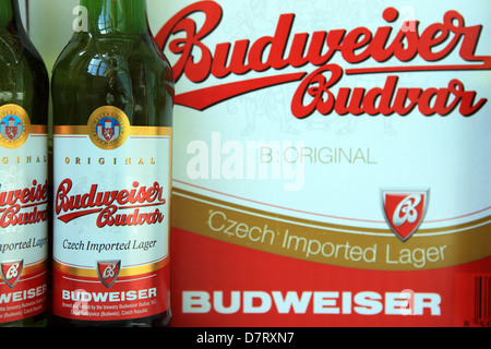 Bottles of Czech imported Budweiser lager beside the boxed carton Stock Photo