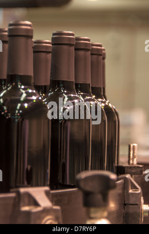 Vine-Growing in Cariñena, Zaragoza. Wine production and Winery industry in October. Spain Stock Photo