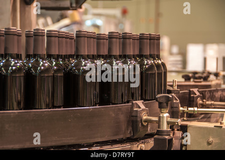 Vine-Growing in Cariñena, Zaragoza. Wine production and Winery industry in October. Spain Stock Photo