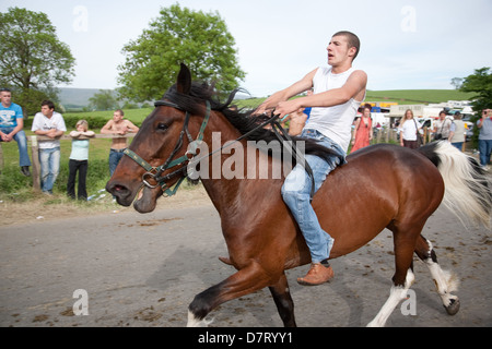 Man man tries out a horse at the Appleby Fair, an annual gathering of Gypsy and Traveller communities in Cumbria, England. Stock Photo