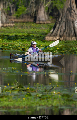 Kayaking on Caddo Lake, Texas, USA. Stock Photo