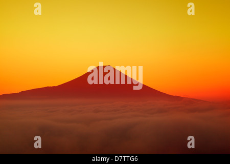 Mount Fuji and sea of clouds Stock Photo