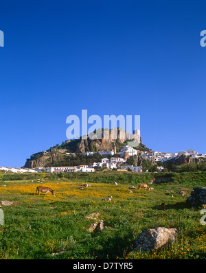 Zahara de la Sierra village roofs, a famous "white village" in Cadiz ...