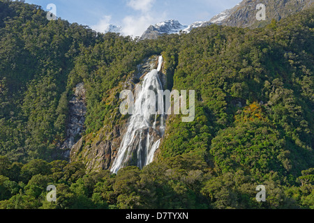 Waterfall, Milford Sound, Fiordland National Park, UNESCO World Heritage Site, Southland, South Island, New Zealand Stock Photo