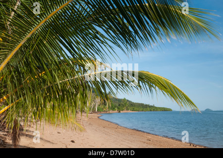 Dunk Island beach with islands offshore, palm leaves, Great Barrier Reef, UNESCO World Heritage  Site, Queensland, Australia Stock Photo