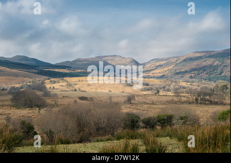 View southwards over the hummocky drumlin topography of Glencar valley, in the Dartry Mountains, from Gurteen, County Leitrim Stock Photo