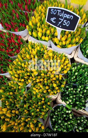 Bloemenmarkt Flower Market, Amsterdam, Netherlands Stock Photo