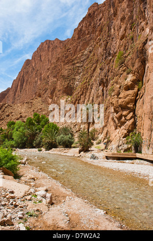 Todgha River running through the Todra Gorge, Morocco, North Africa Stock Photo