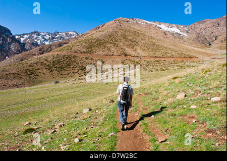 Trekking tour guide walking at Oukaimeden ski resort in summer, High Atlas Mountains, Morocco, North Africa Stock Photo