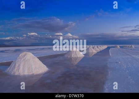 Salt cones, Salar de Uyuni, Potosi, Bolivia, South America Stock Photo