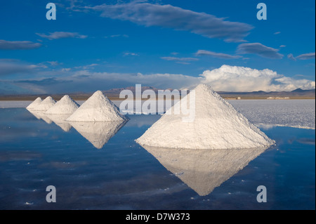 Salt cones, Salar de Uyuni, Potosi, Bolivia, South America Stock Photo
