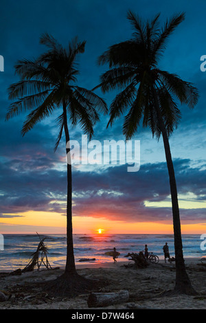 Surfer and palm trees at sunset on Playa Guiones surf beach at sunset, Nosara, Nicoya Peninsula, Guanacaste Province, Costa Rica Stock Photo