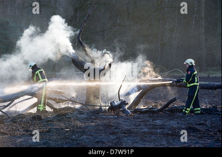 Two firefighters are trying to extinguish a forest fire Stock Photo