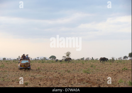 People sitting on top of jeep on safari,  watching herd of elephants, Meru National Park, Kenya Stock Photo
