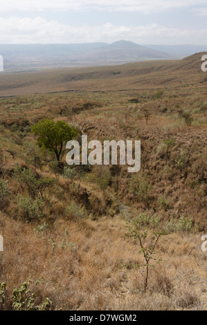 Mount Longonot National Park, Nakuru, Kenya Stock Photo