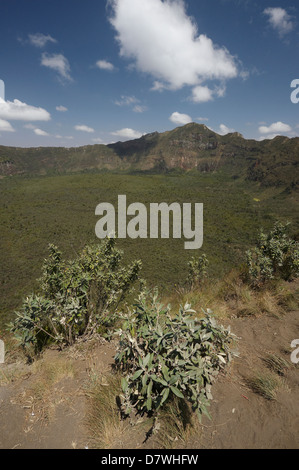 Crater rim, Mount Longonot National Park, Nakuru, Kenya Stock Photo