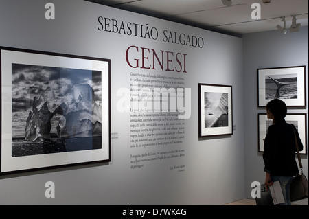 Exhibition 'Genesis' of the Brazilian Photographer Sebastiao Salgado. Ara Pacis Museum, Rome, Italy. Stock Photo