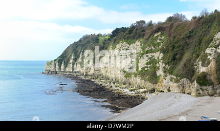 The jurassic coastline Beer Devon England uk Stock Photo