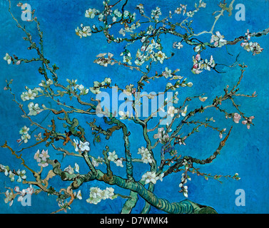 Branches with Almond Blossom. 1890. Japonium Vincent van Gogh 1853 - 1890  Dutch Netherlands Post Impressionism Stock Photo